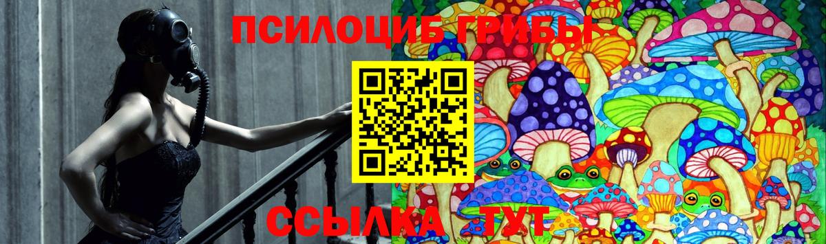 Псилоцибиновые грибы мухоморы Петропавловск-Камчатский